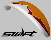 The New Era and the New Standard for Performance and Agility